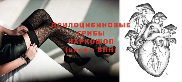 стаф Дмитриев