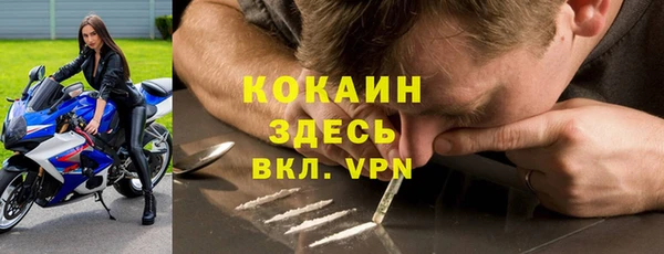 стаф Дмитриев